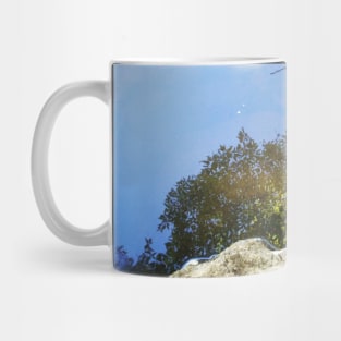 Reflection in a mountain stream Mug